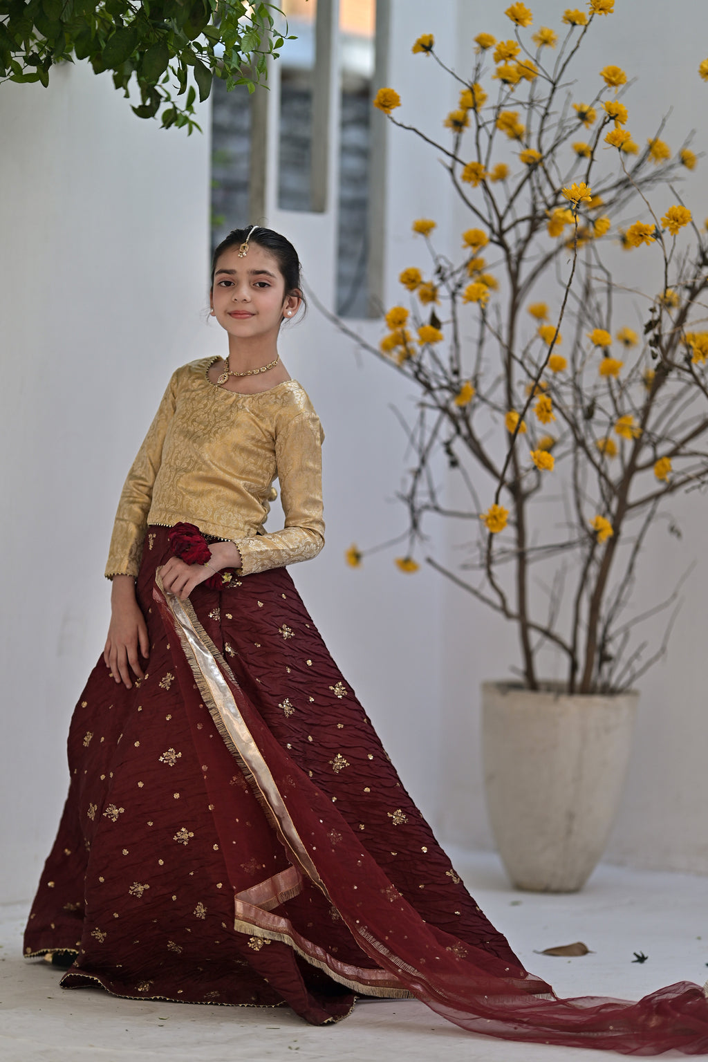 MEHAR